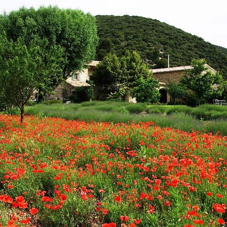 Le Mas De La Fontaine Bed and Breakfast Le Pegue Εξωτερικό φωτογραφία