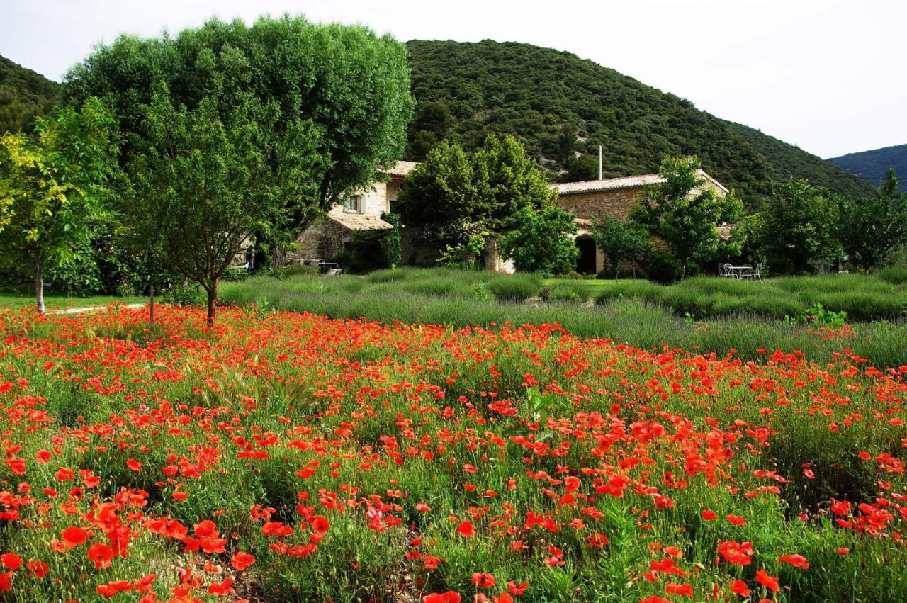 Le Mas De La Fontaine Bed and Breakfast Le Pegue Εξωτερικό φωτογραφία