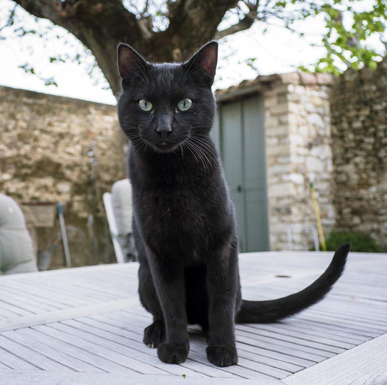 Le Mas De La Fontaine Bed and Breakfast Le Pegue Εξωτερικό φωτογραφία