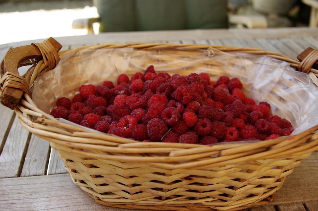 Le Mas De La Fontaine Bed and Breakfast Le Pegue Εξωτερικό φωτογραφία