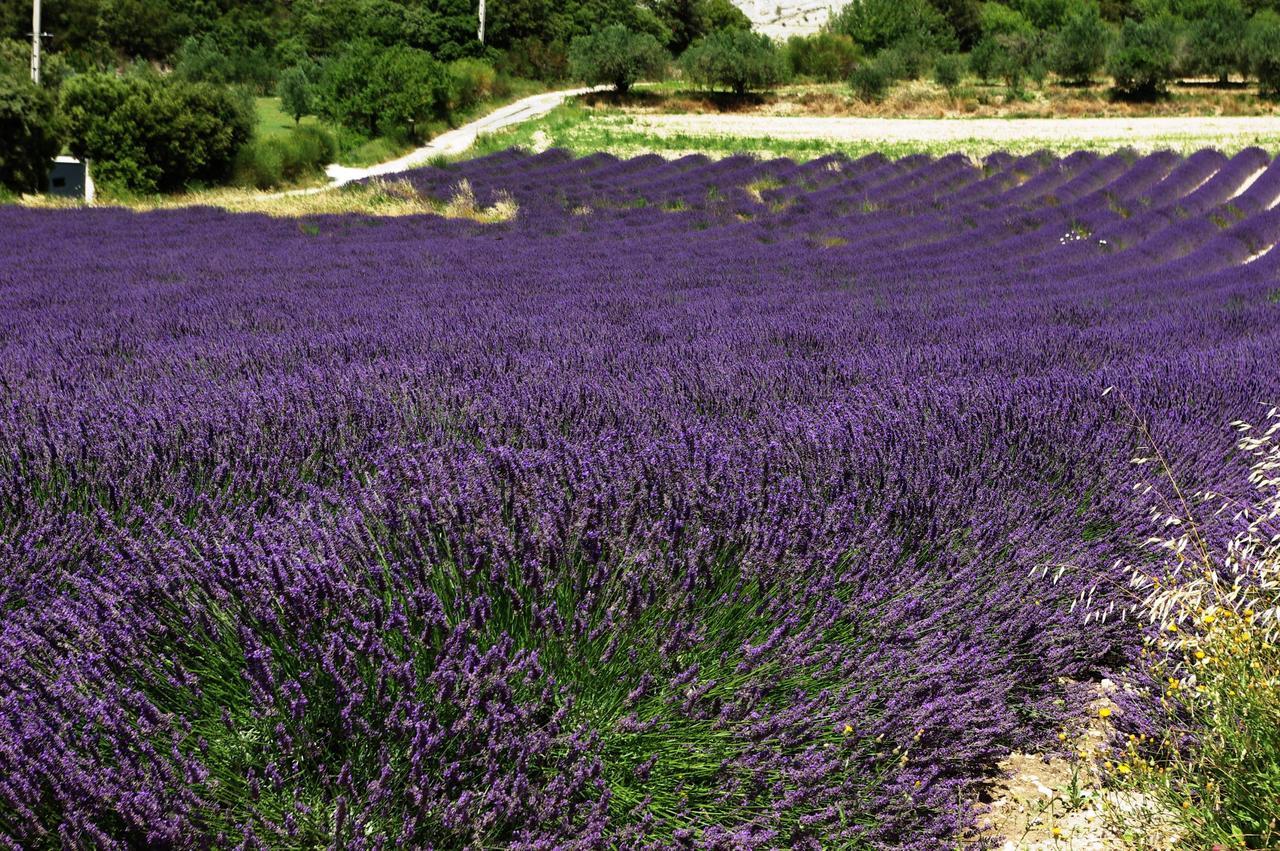Le Mas De La Fontaine Bed and Breakfast Le Pegue Εξωτερικό φωτογραφία