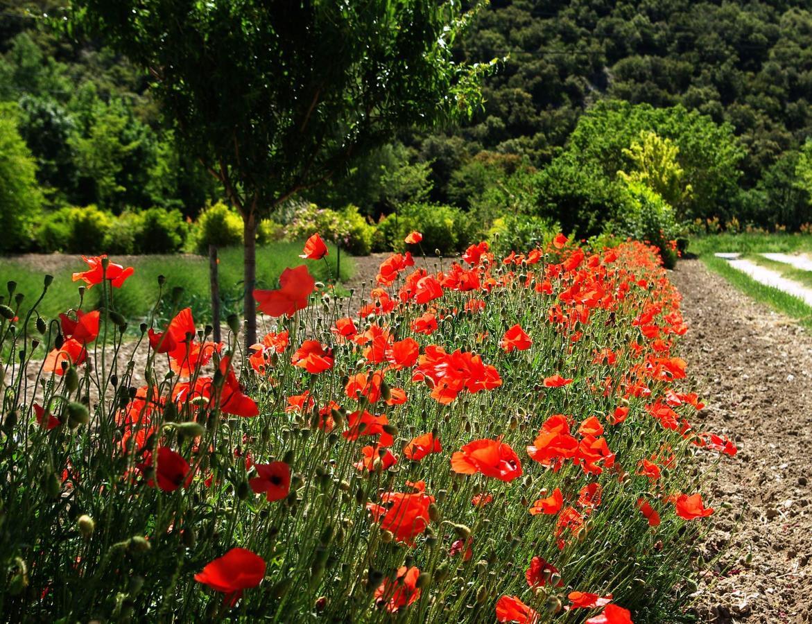 Le Mas De La Fontaine Bed and Breakfast Le Pegue Εξωτερικό φωτογραφία